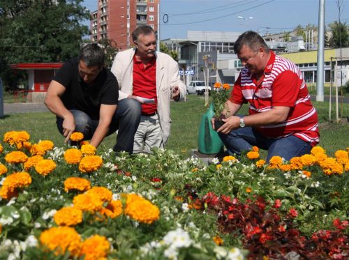 dvtk-virag_120723_ml_11.jpg