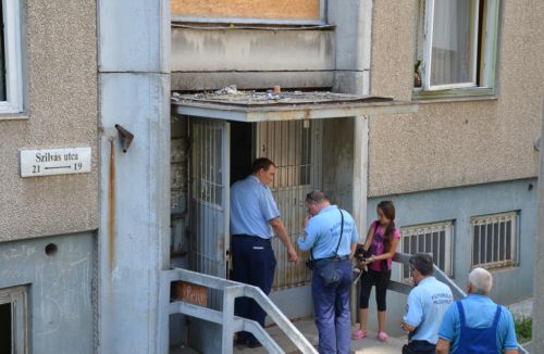 ellenorzes_szilvas_130808_fkcs_3.jpg