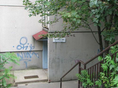 gesztenyesrablas_120720_csl4.jpg