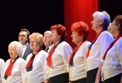 idos_gala_131005_fkcs_19.jpg