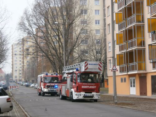 neni_mentes_tizeshonved_140117_kcs_001.jpg